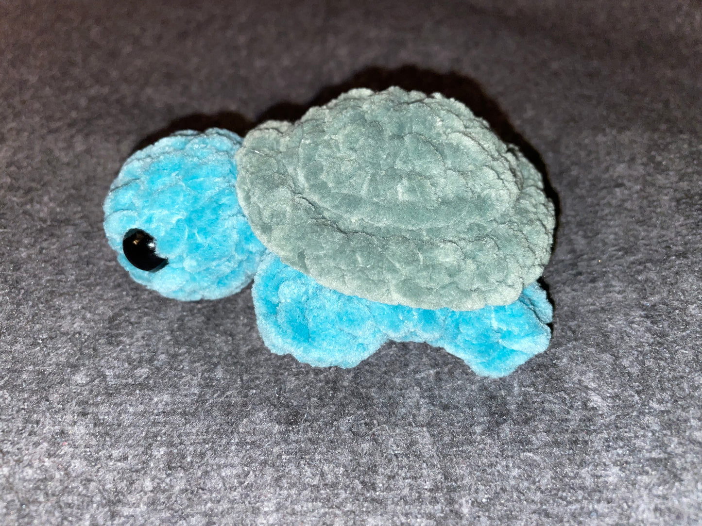 Baby Turtle